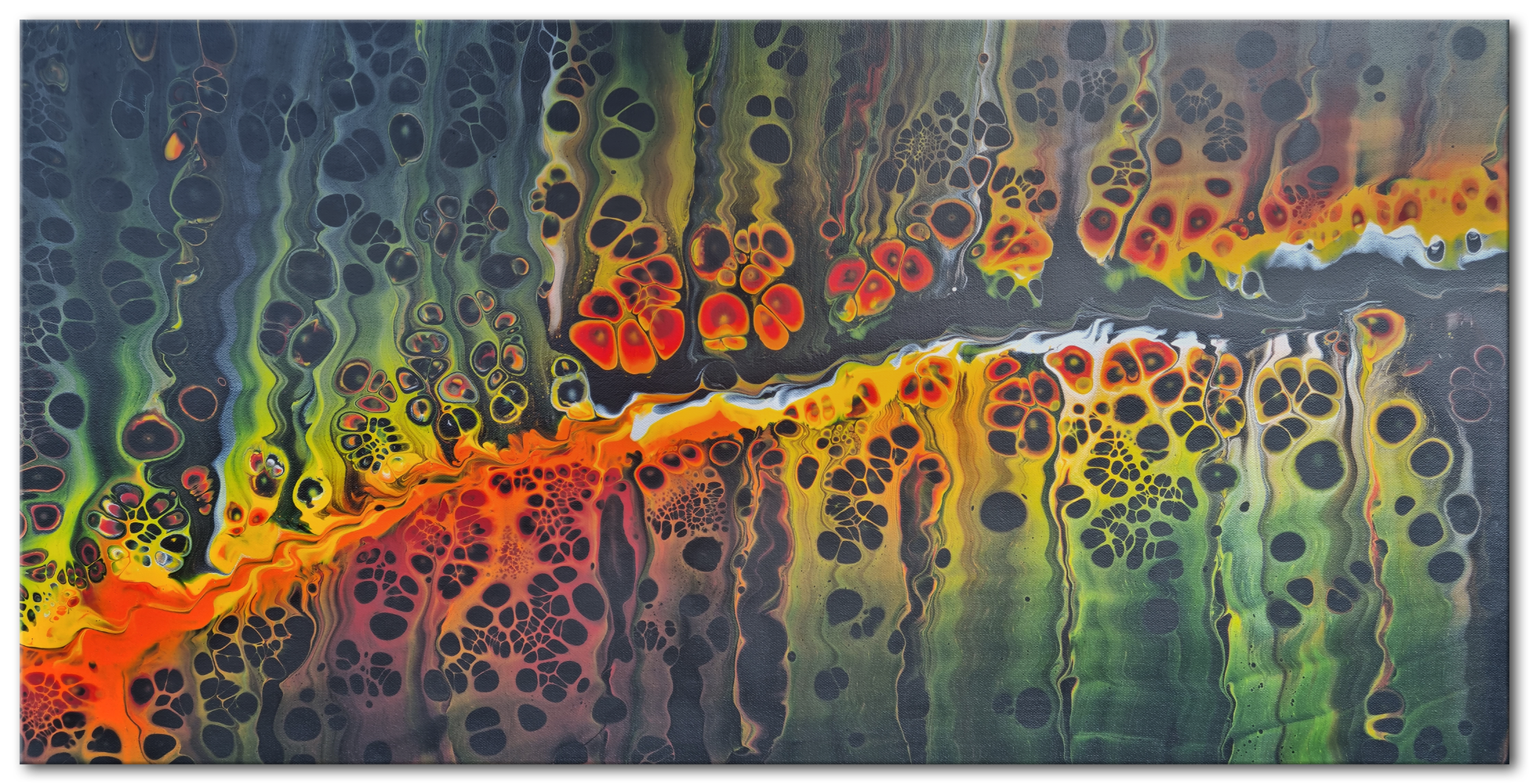 fluorescent tissue