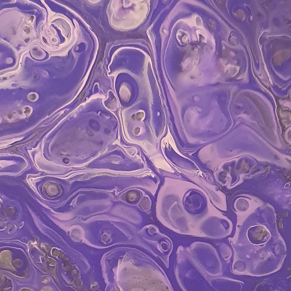 type of violet 1 - 2
