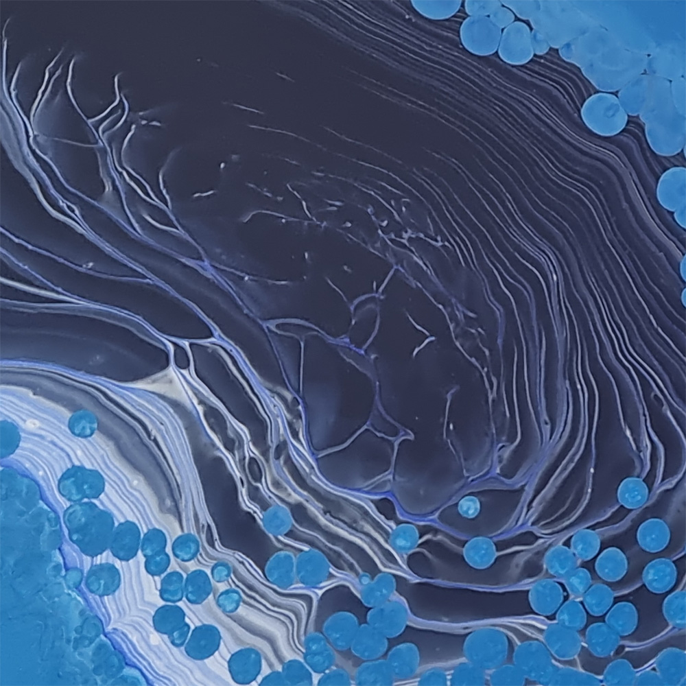 blue whales - 3
