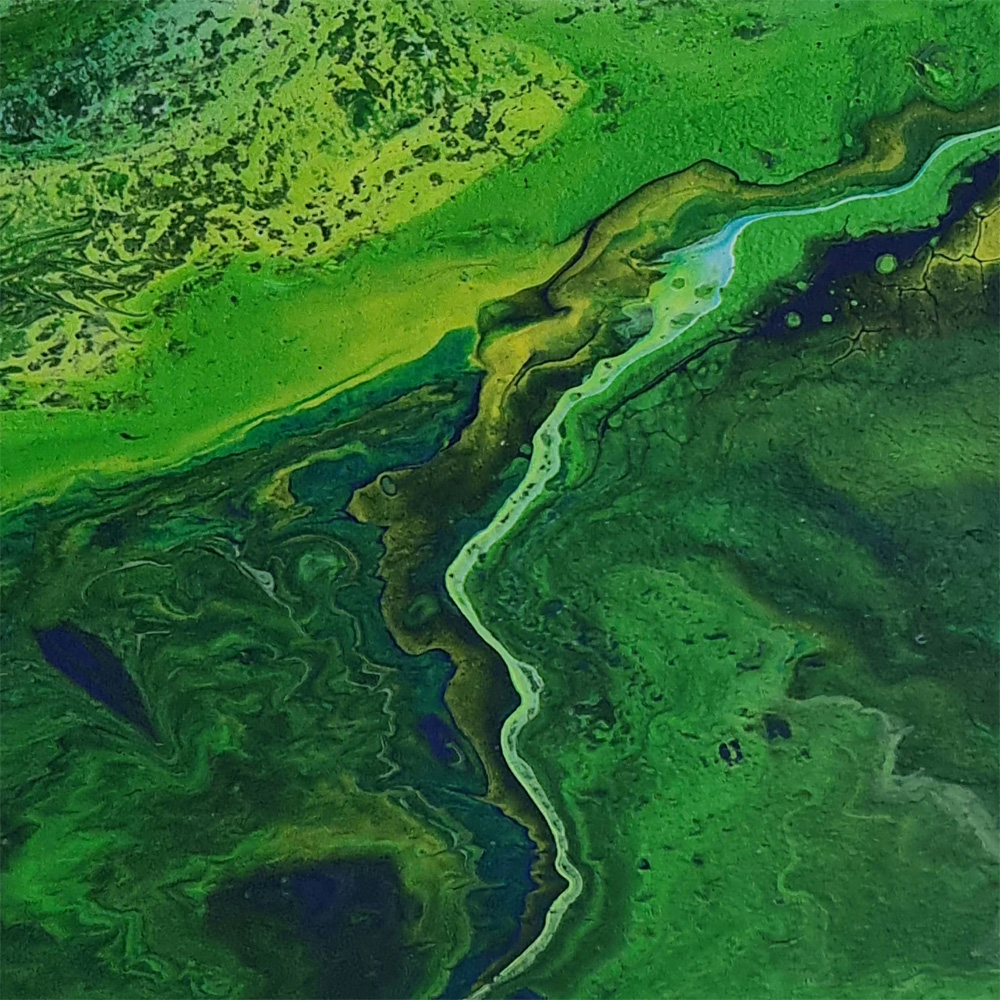 into the ocean - 1