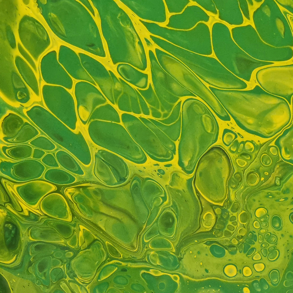 photosynthesis - 1