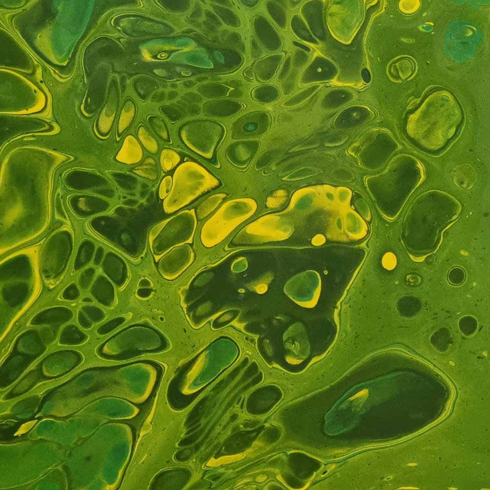 photosynthesis - 2