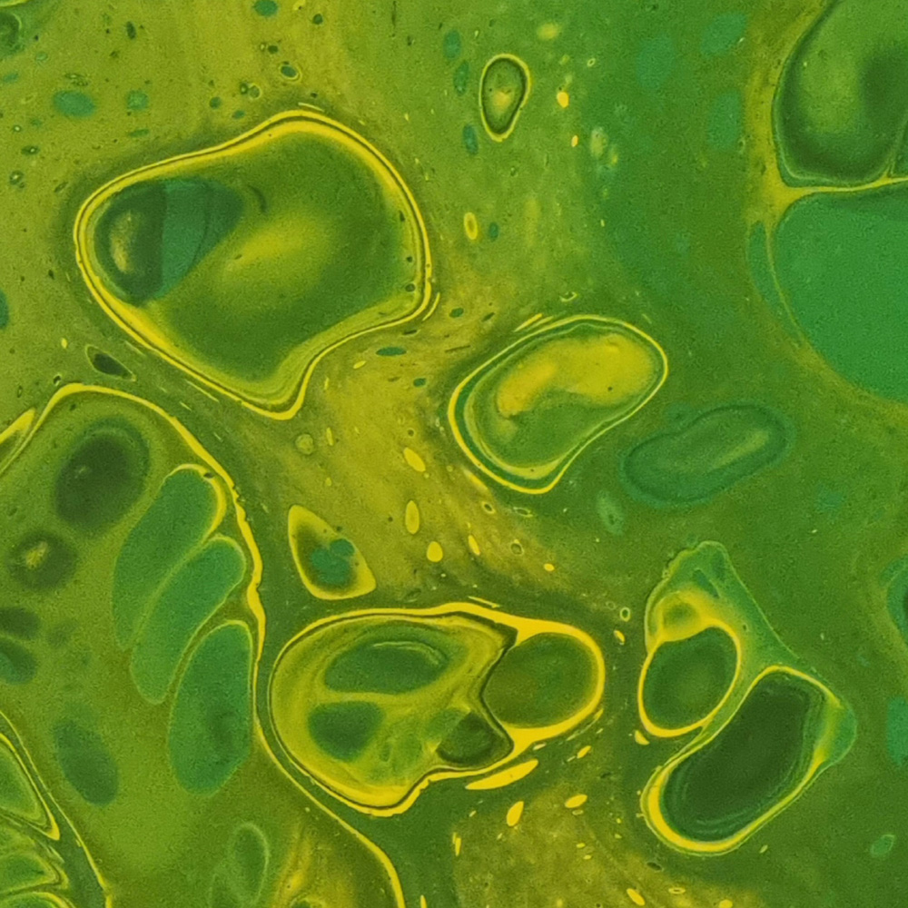 photosynthesis - 3