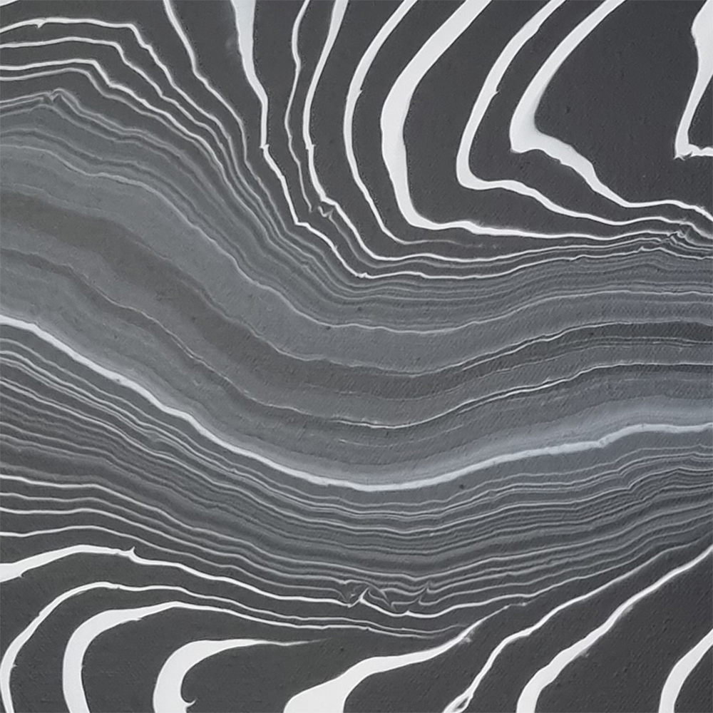 like a zebra - 2